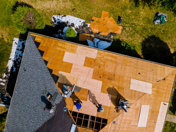 Best Roof Restoration Services  in Marion, SC
